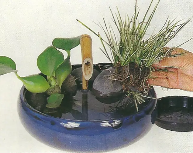 Haz tu propio Tsukubai (Fuente/Arreglo)