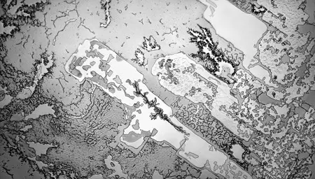 Lágrimas bajo el microscopio...Impactante