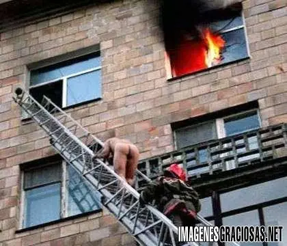 Imagenes graciosas