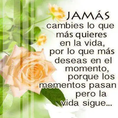 experiencia