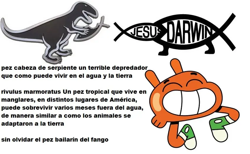 Arquetipos