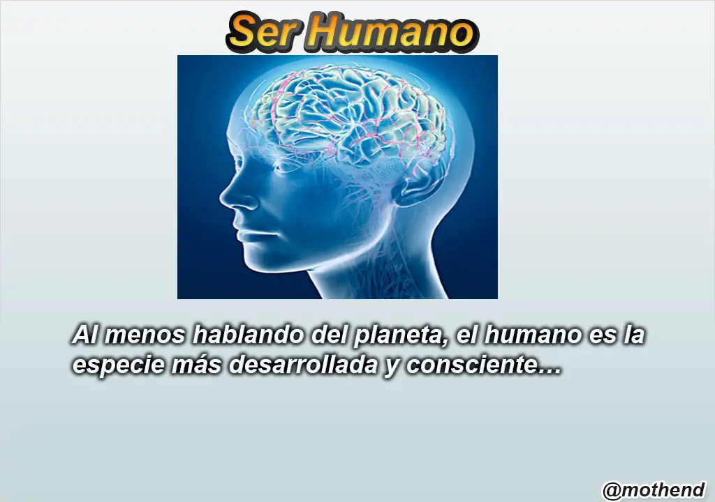 animales mas inteligentes del pl