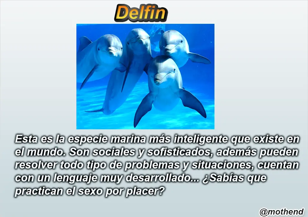 Animales