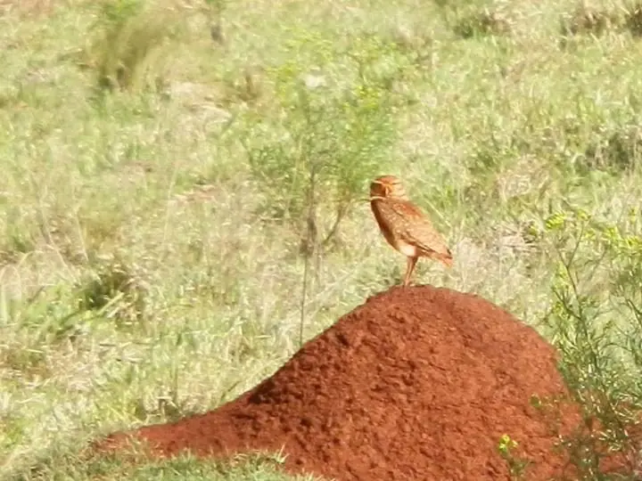 Turismo rural en Gobernador Virasoro - Corrientes