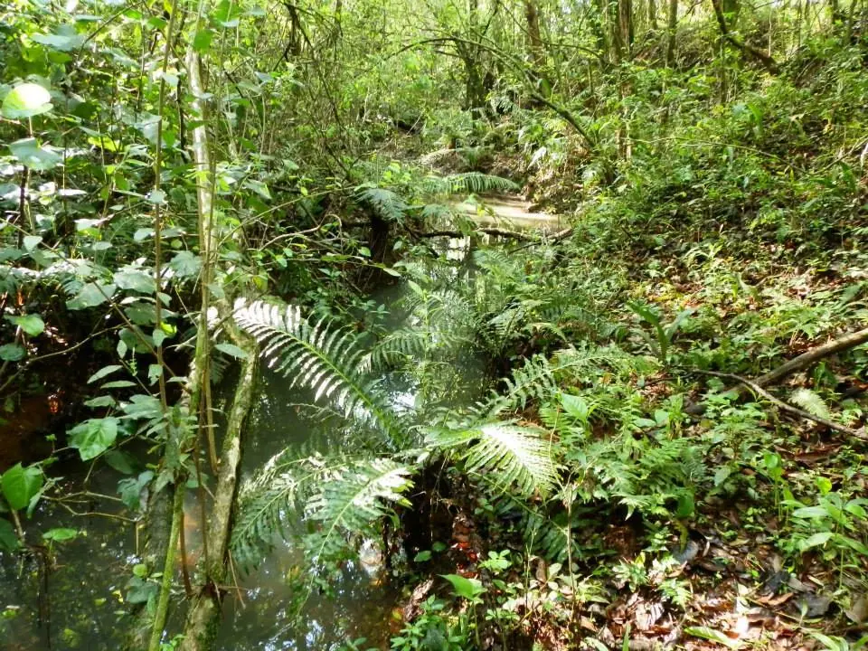 Turismo rural en Gobernador Virasoro - Corrientes