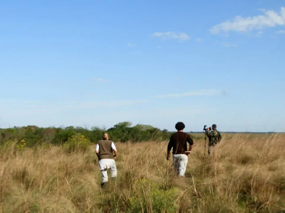 campo