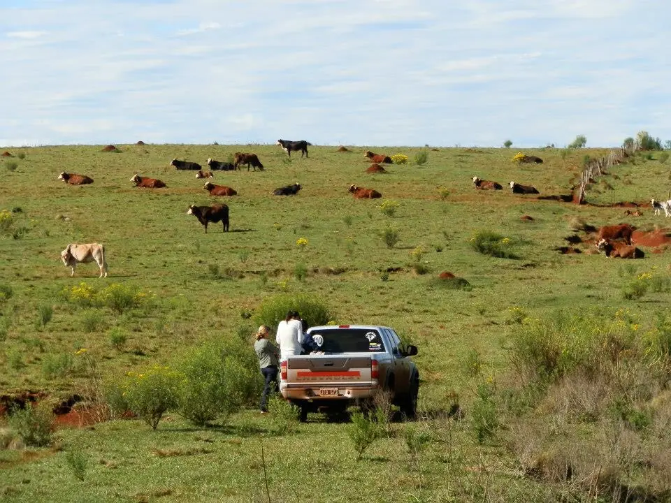rural