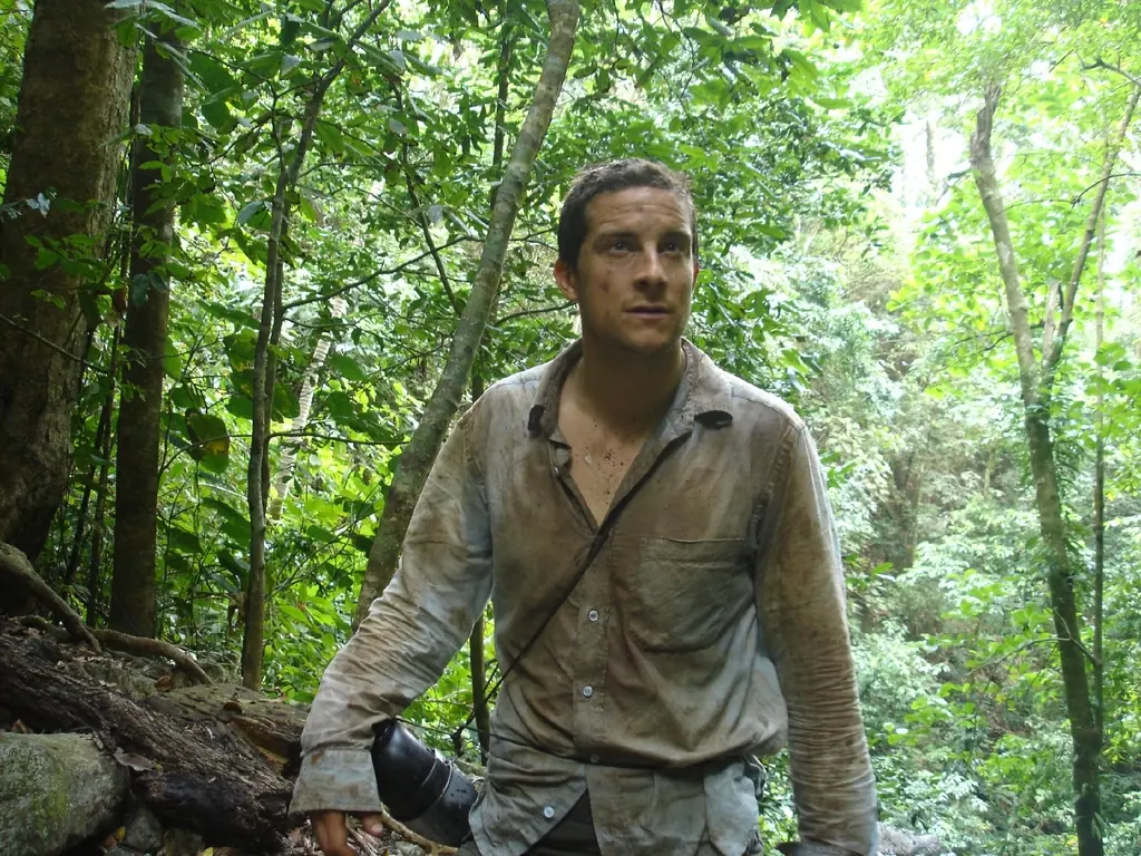 Bear Grylls