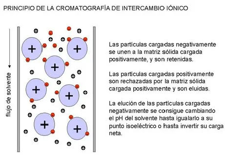 recurso