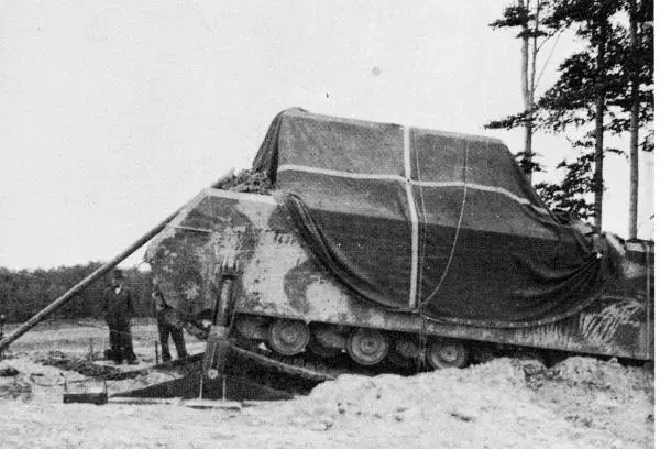 maus