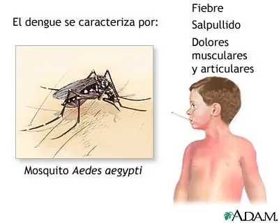 Informacion sobre el dengue!