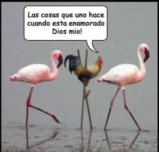 gustar