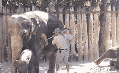 Gifs, gifs y mas gifs. (Parte III)