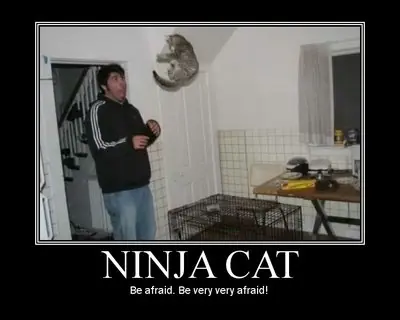 pasala bien un rato con este post de humor humoristo