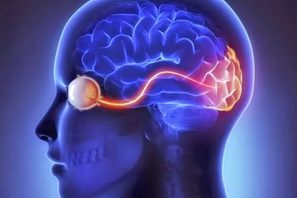 cosas increíbles que suceden en el cerebro de las personas