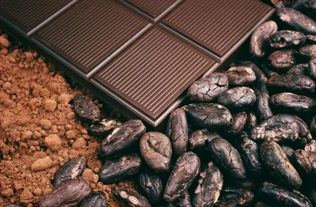 Beneficios del chocolate para la salud