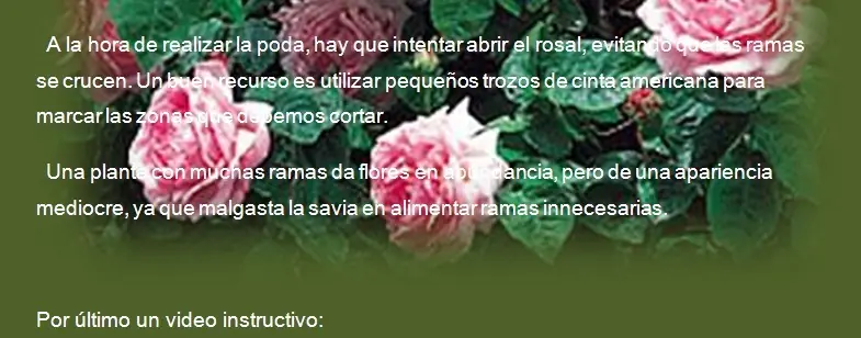 jardineria