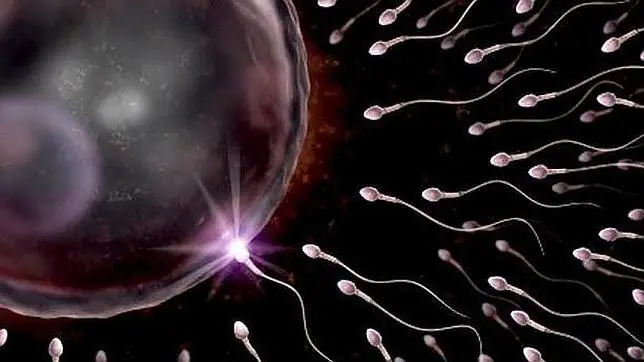 8 Propiedades del semen que no conocías