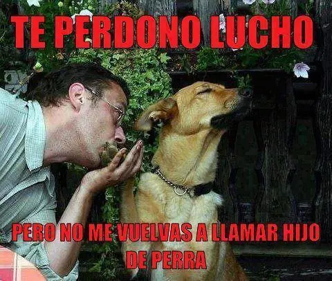 compilados