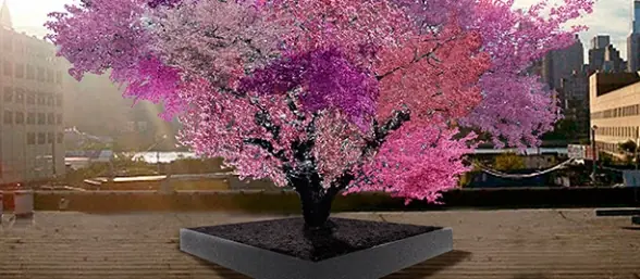 El Árbol de 40 Frutas