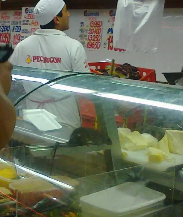 Rata en mostrador de supermercado
