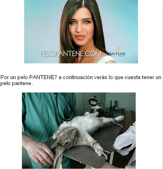 Pelo Pantene