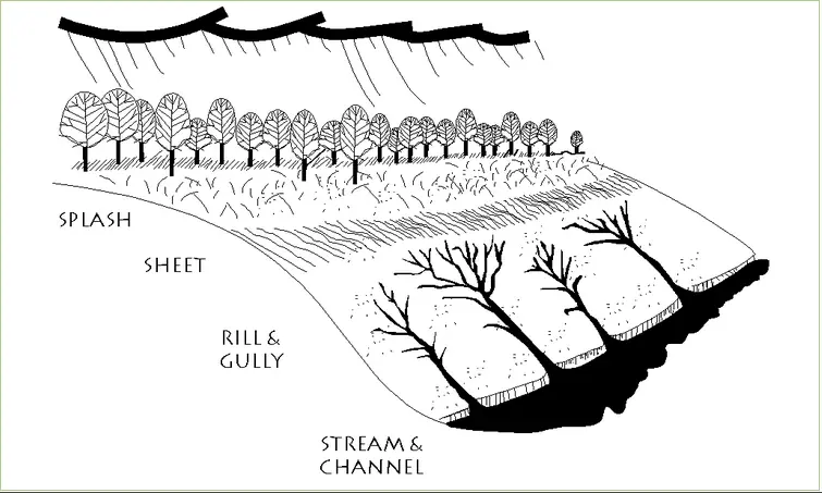 ecologia