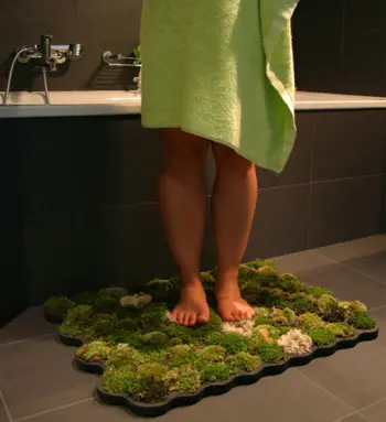 plantas