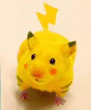 como hacer el dispositivo pikacu