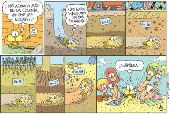 reir