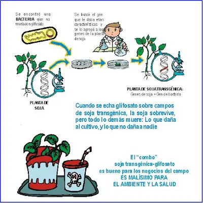 alimentos