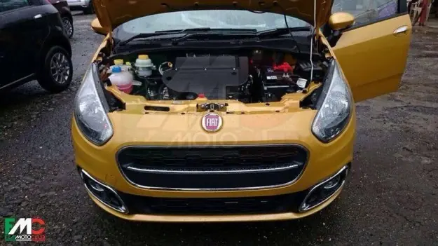 fiat punto