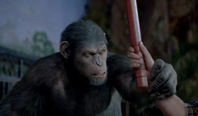 monos
