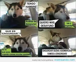 #Comidas