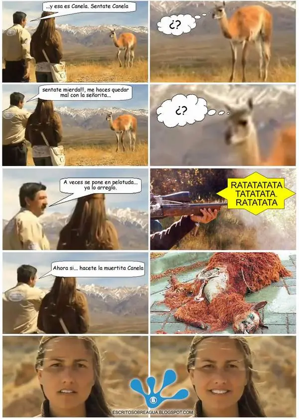 fotocomics