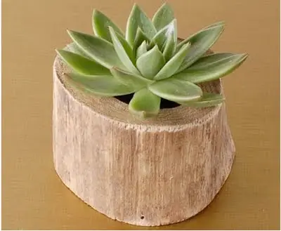 reciclar