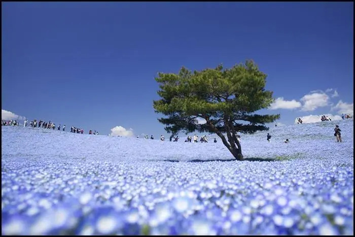 Mundo