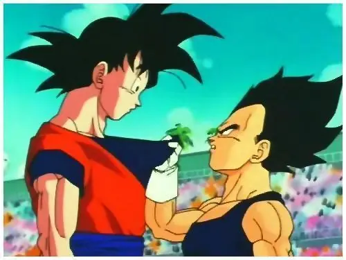dragon ball z