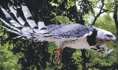 extincion