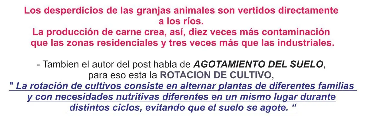 Desmintiendo, El veganismo es una mentira ...