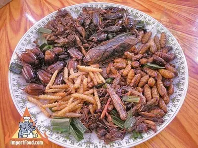 Top 10 Bichos Nutritivos