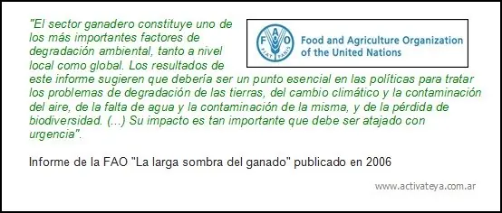 Vegetarianismo