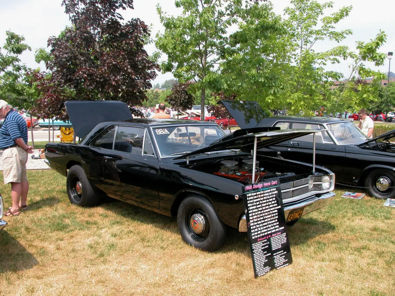 dodge