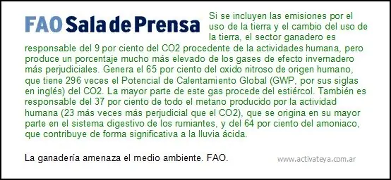deforestacion