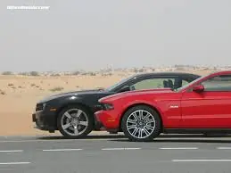 Muscle Cars