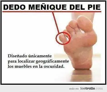 reite