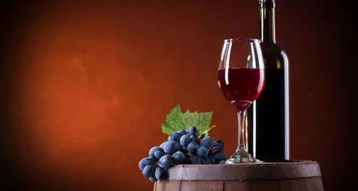 cata de vinos