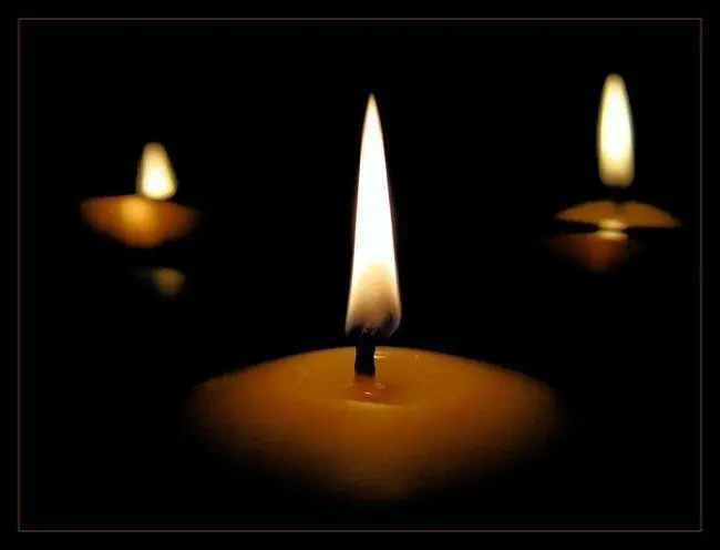 ¿Querías Creepypastas? [Entra]