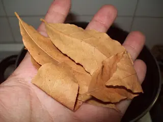 mollejas