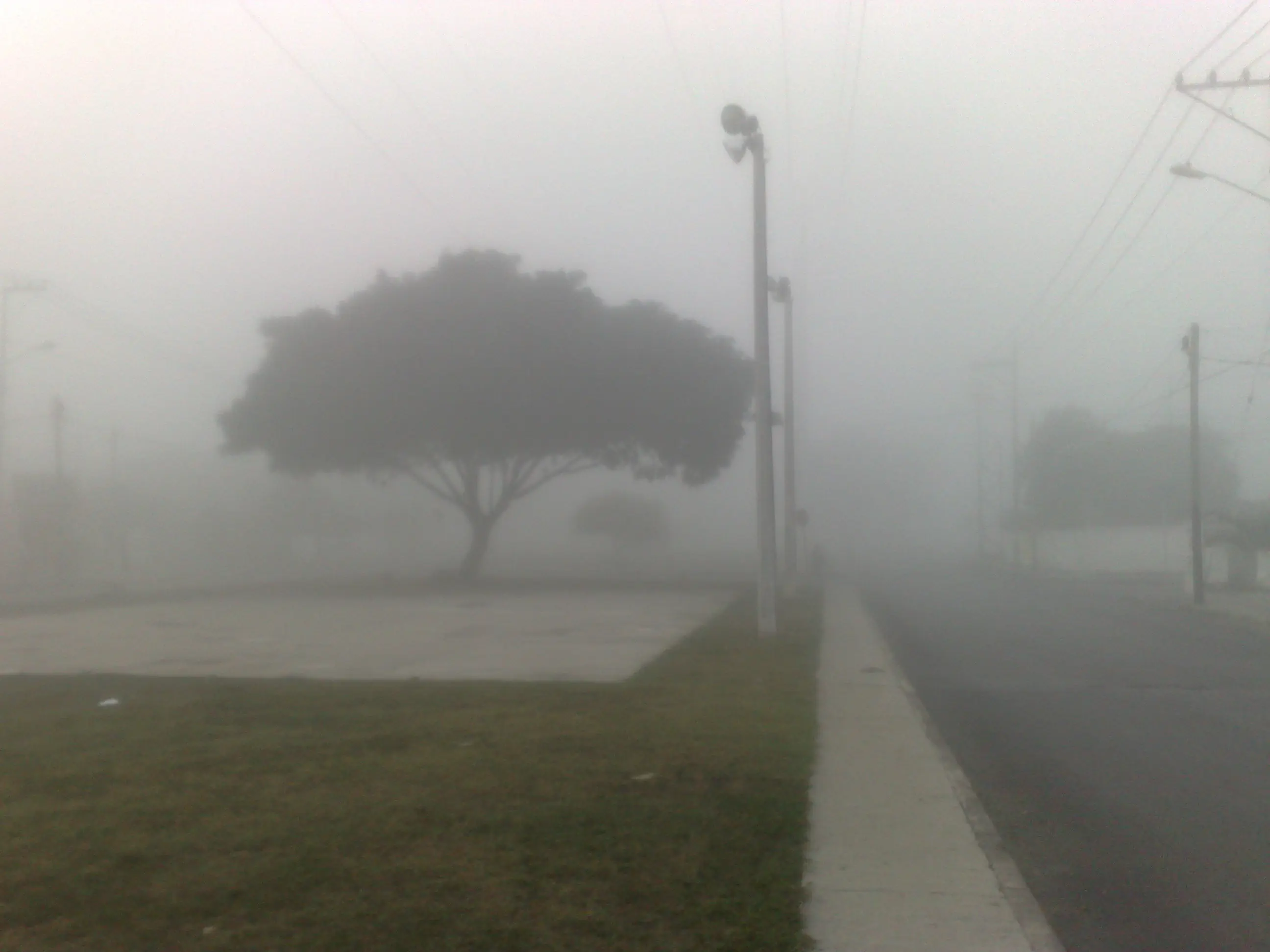 Fotografie a Slenderman y ni cuenta me di